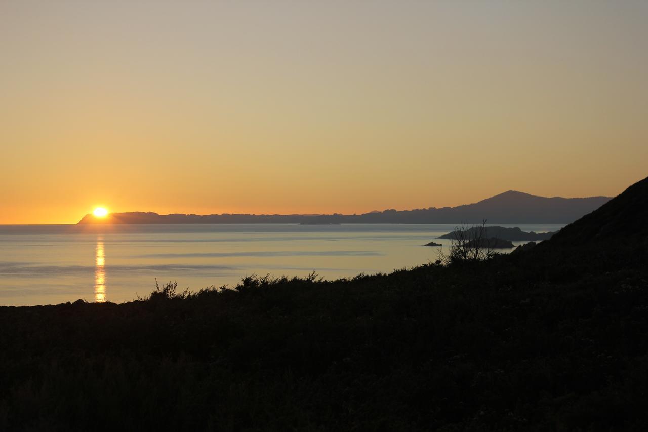 Eagle'S Roost Farmstay B&B Rocky Cape Exterior foto