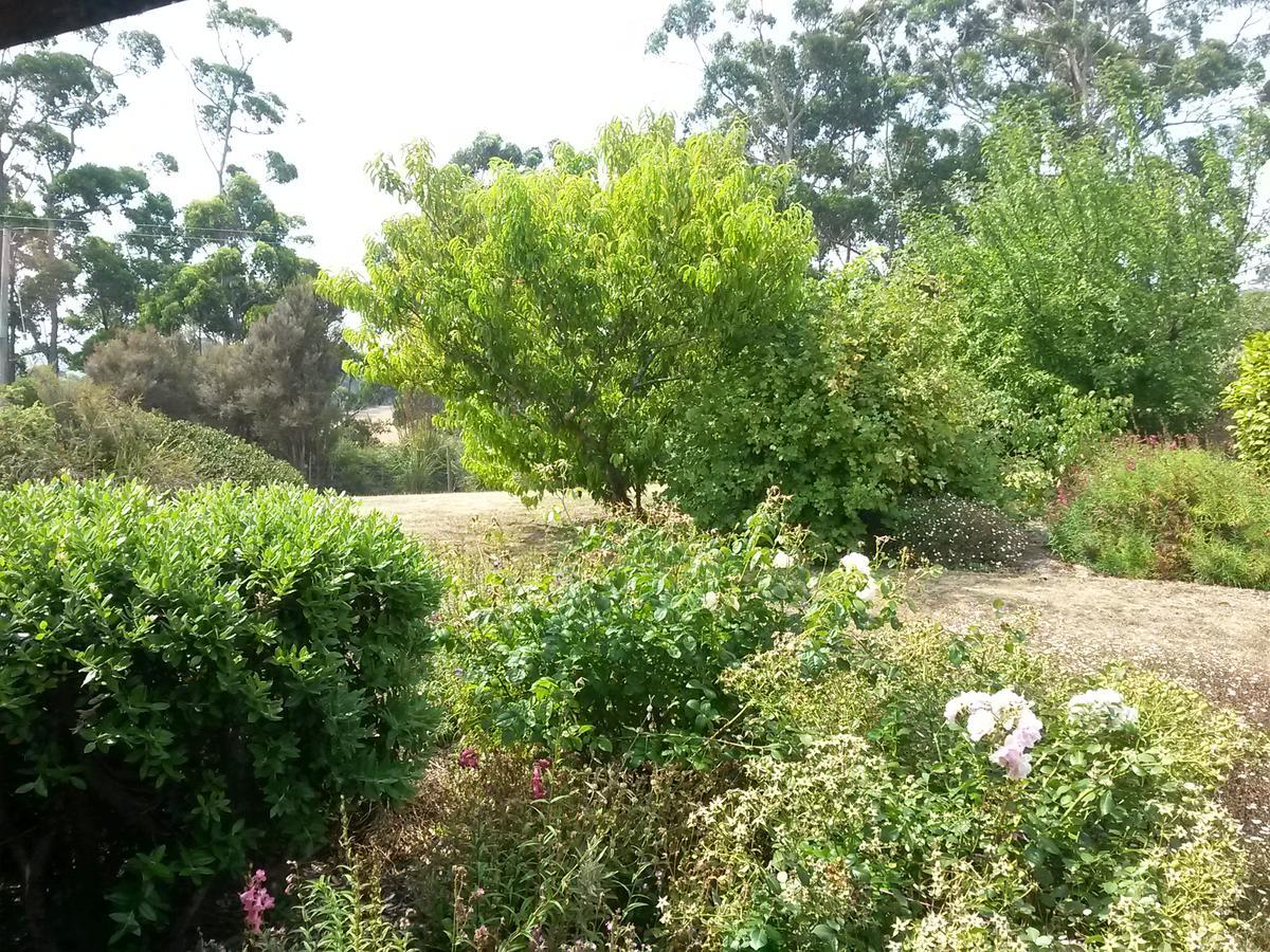 Eagle'S Roost Farmstay B&B Rocky Cape Exterior foto