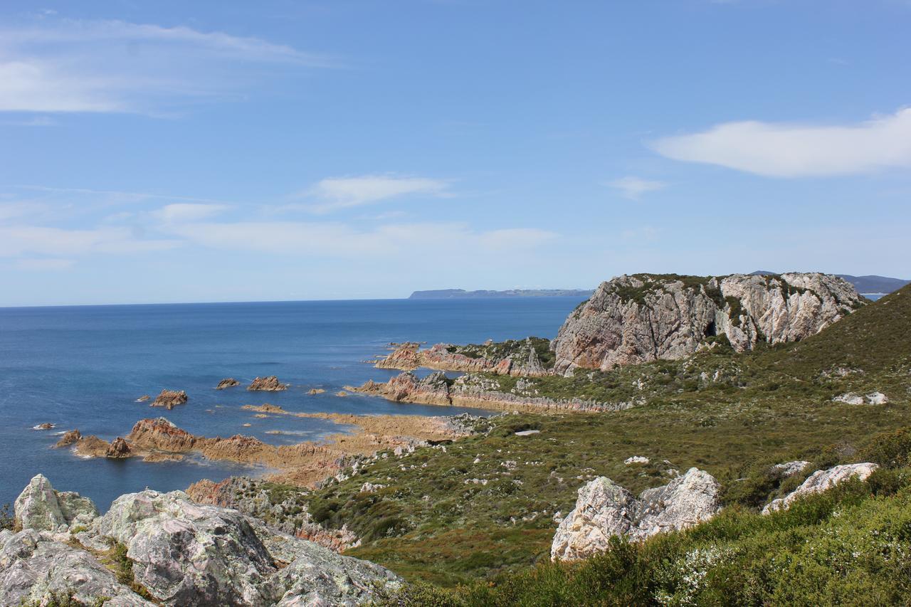 Eagle'S Roost Farmstay B&B Rocky Cape Exterior foto